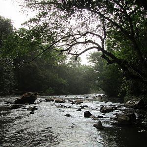 River in CAR