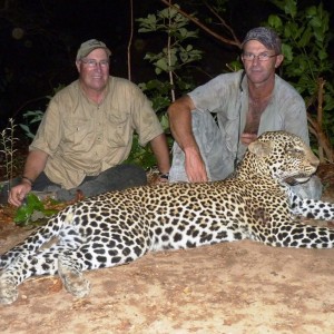 Hunting Leopard  in CAR