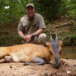 Nice Red Flanked Duiker hunted in CAR