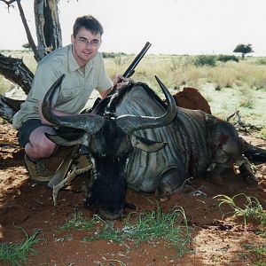 Blue Wildebeest, Namibia 2004