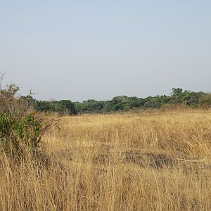 Hunting in CAR