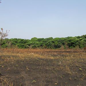 Hunting in CAR