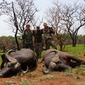 Double on Buffalo, hunting in CAR