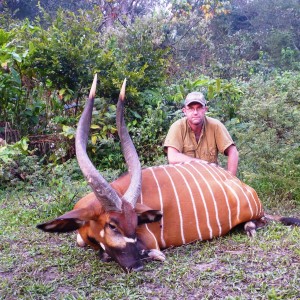 Hunting Bongo in CAR