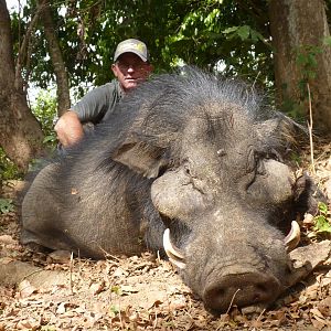 Hunting Giant Forest Hog in Central African Republic