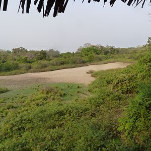 Hunting in Central African Republic