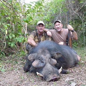 Hunting Giant Forest Hog in Central African Republic