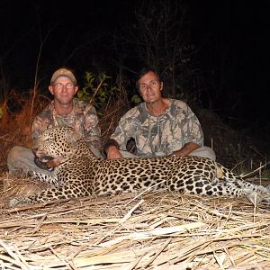 Hunting Leopard in Central African Republic