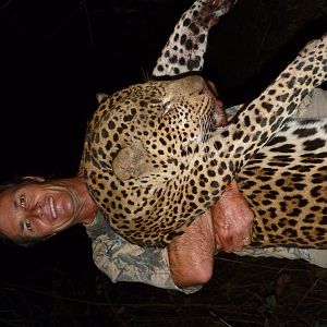 Hunting Leopard in Central African Republic