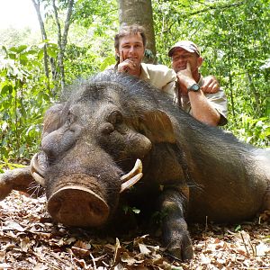 Hunting Giant Forest Hog in CAR