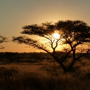 Hunting with Wintershoek Johnny Vivier Safaris in South Africa