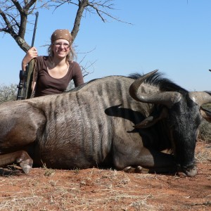 Hunting Blue Wildebeest with Wintershoek Johnny Vivier Safaris in SA