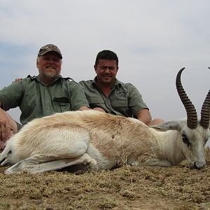 Hunting White Springbuck with Wintershoek Johnny Vivier Safaris in SA