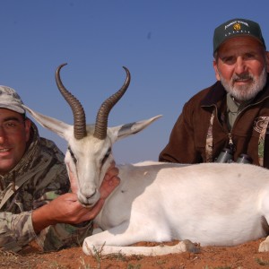 Hunting White Springbuck with Wintershoek Johnny Vivier Safaris in SA