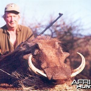 Hunting Warthog with Wintershoek Johnny Vivier Safaris in SA