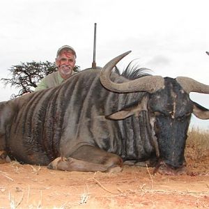 Hunting Blue Wildebeest with Wintershoek Johnny Vivier Safaris in SA