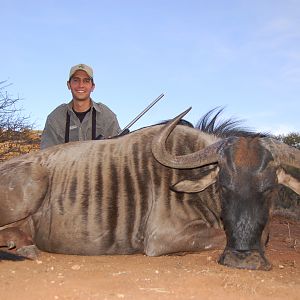 Hunting Blue Wildebeest with Wintershoek Johnny Vivier Safaris in SA