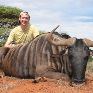 Hunting Blue Wildebeest with Wintershoek Johnny Vivier Safaris in SA