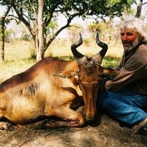 Hunting Lichtenstein Hartebeest with Wintershoek Johnny Vivier Safaris in S