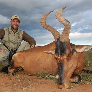 Hunting Red Hartebeest with Wintershoek Johnny Vivier Safaris in SA