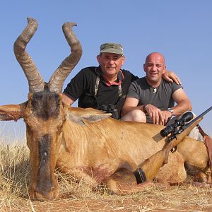 Hunting Red Hartebeest with Wintershoek Johnny Vivier Safaris in SA