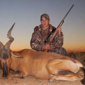 Hunting Red Hartebeest with Wintershoek Johnny Vivier Safaris in SA