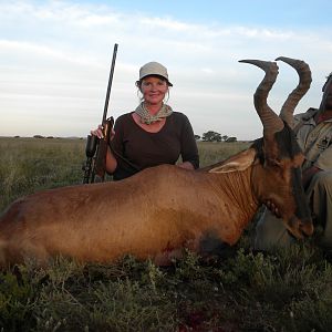 Hunting Red Hartebeest with Wintershoek Johnny Vivier Safaris in SA