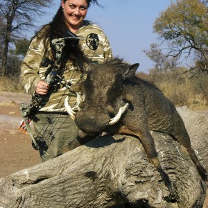 Bowhunting Warthog