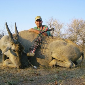 Bowhunting Eland