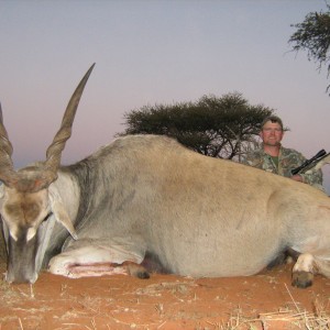 Hunting Eland with Wintershoek Johnny Vivier Safaris in SA