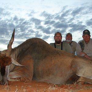 Hunting Eland with Wintershoek Johnny Vivier Safaris in SA