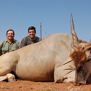 Hunting Eland with Wintershoek Johnny Vivier Safaris in SA