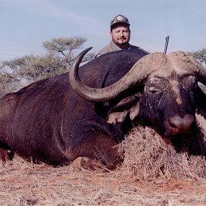 Hunting Buffalo with Wintershoek Johnny Vivier Safaris in SA