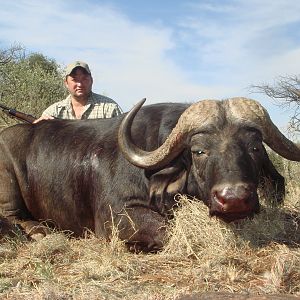 Hunting Buffalo with Wintershoek Johnny Vivier Safaris in SA