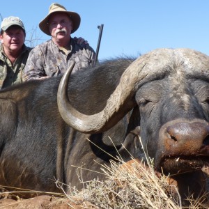 Hunting Buffalo with Wintershoek Johnny Vivier Safaris in SA