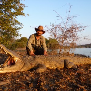 Hunting Crocodile with Wintershoek Johnny Vivier Safaris in SA