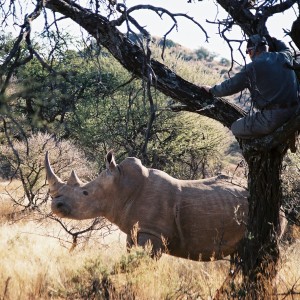 Hunting White Rhino with Wintershoek Johnny Vivier Safaris in SA