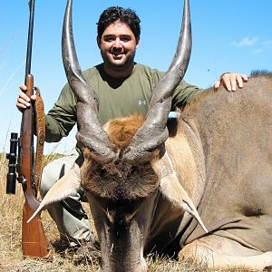 Eland hunted in Zimbabwe