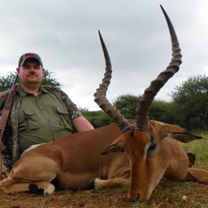 Hunting Impala