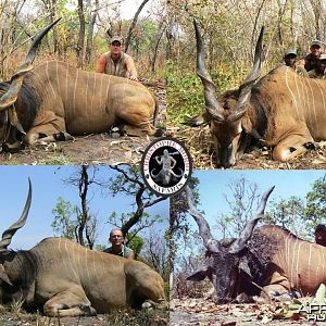 Trophy Lord Derby Eland Bulls CAR