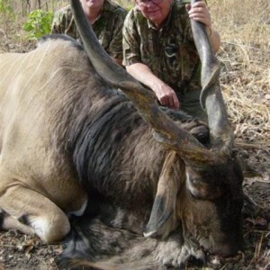 Lord Derby Eland hunted in Cameroon