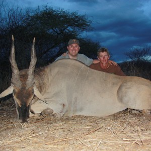 East African Eland