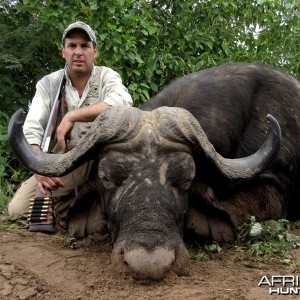 Buffalo hunt on Limpopo river Zimbabwe