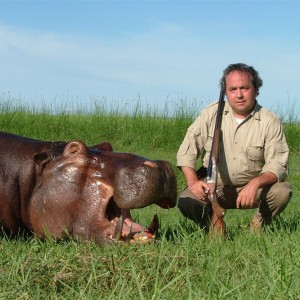 Hippo hunted in Namibia Chobe flood plains