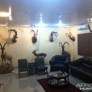 Trophy room