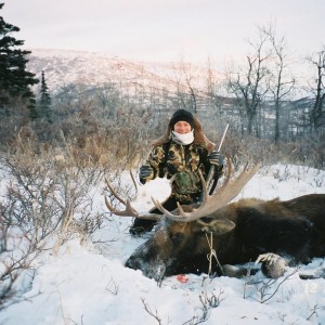 Alaska Moose