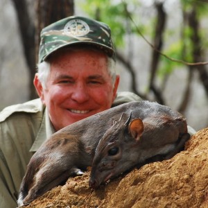 Blue Duiker hunted in CAR with Central African Wildlife Adventures