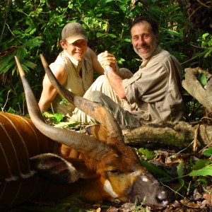 29 inch Bongo hunted in CAR with Central African Wildlife Adventures