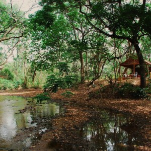 Fly camp Ngoy in CAR with Central African Wildlife Adventures