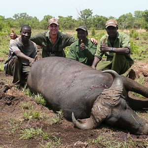 Old Buffalo hunted in CAR with Central African Wildlife Adventures